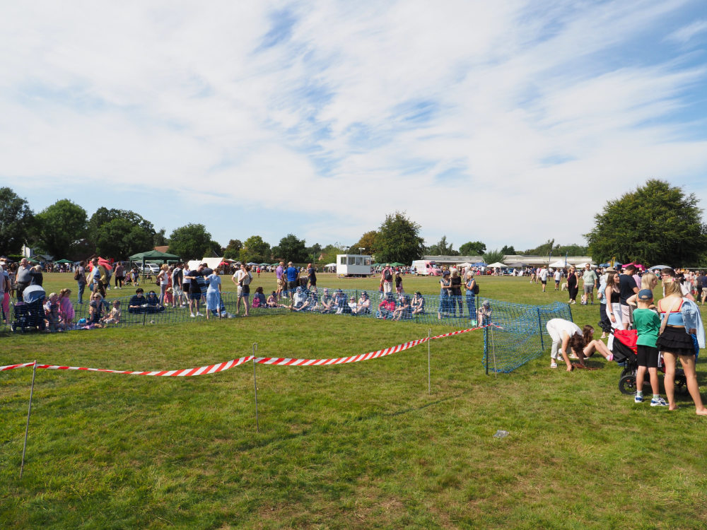 fulford show