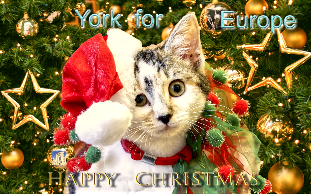 York for Europe logo