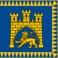 Lviv flag